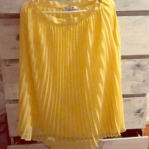 Accordion Pleated Skirt